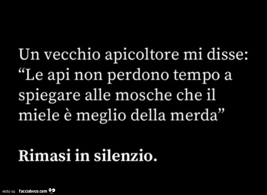 Un vecchio apicoltore mi disse: le api non perdono tempo a spiegare alle mosche che il miele è meglio della merda. Rimasi in silenzio