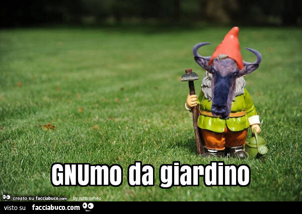 Gnumo da giardino