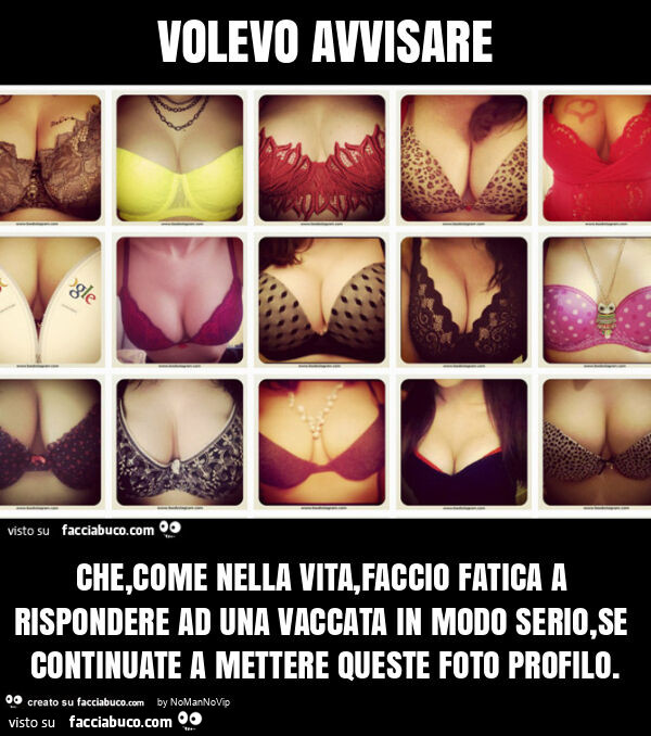 Volevo avvisare che, come nella vita, faccio fatica a rispondere ad una vaccata in modo serio, se continuate a mettere queste foto profilo