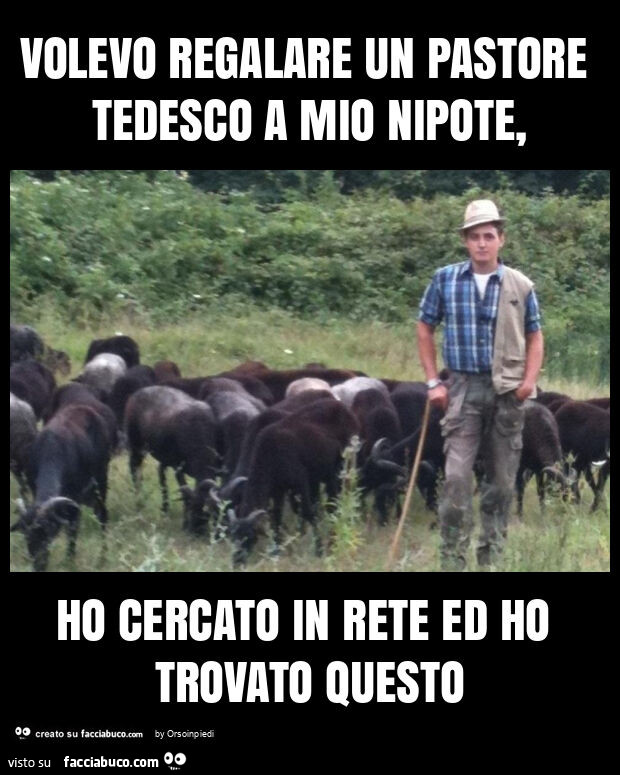 Volevo regalare un pastore tedesco a mio nipote, ho cercato in rete ed ho trovato questo