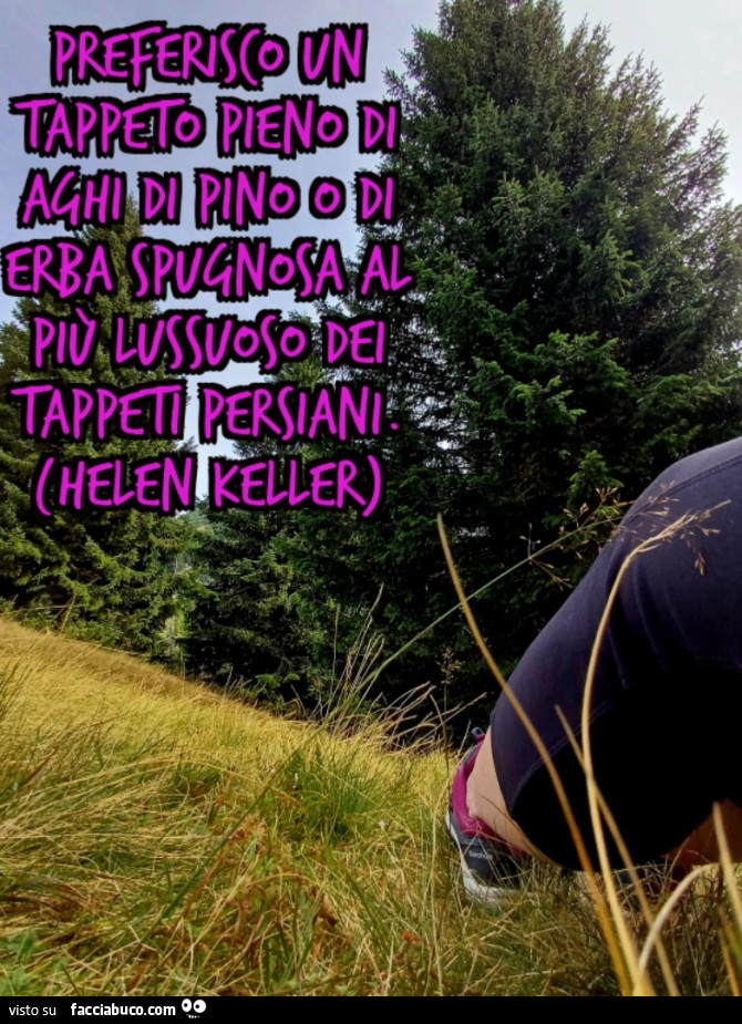 Preferisco un tappeto pieno di aghi di pino o di erba spugnosa al più lussuoso dei tappeti persiani. (Helen Keller)