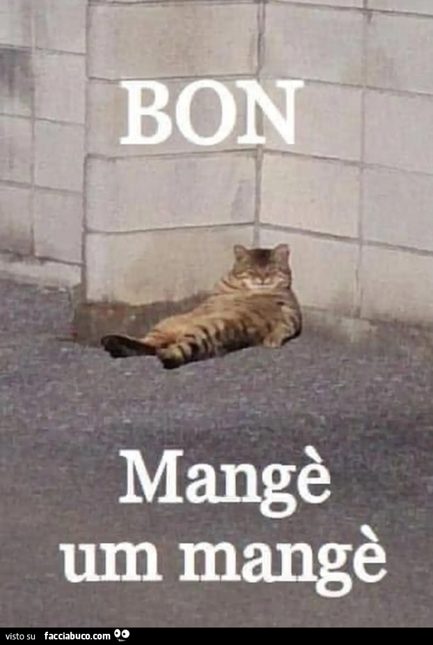 Digestione
