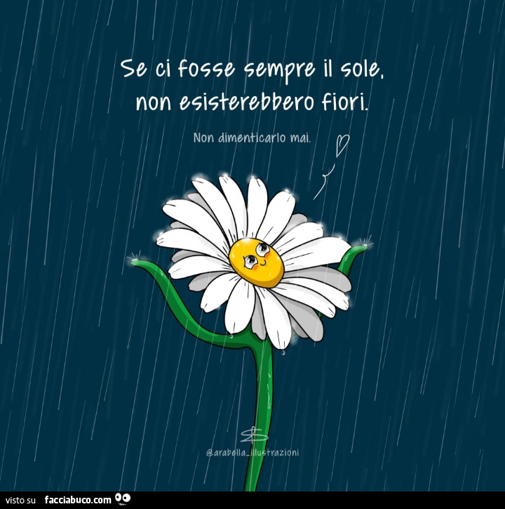 Se ci fosse sempre il sole, non esisterebbero i fiori