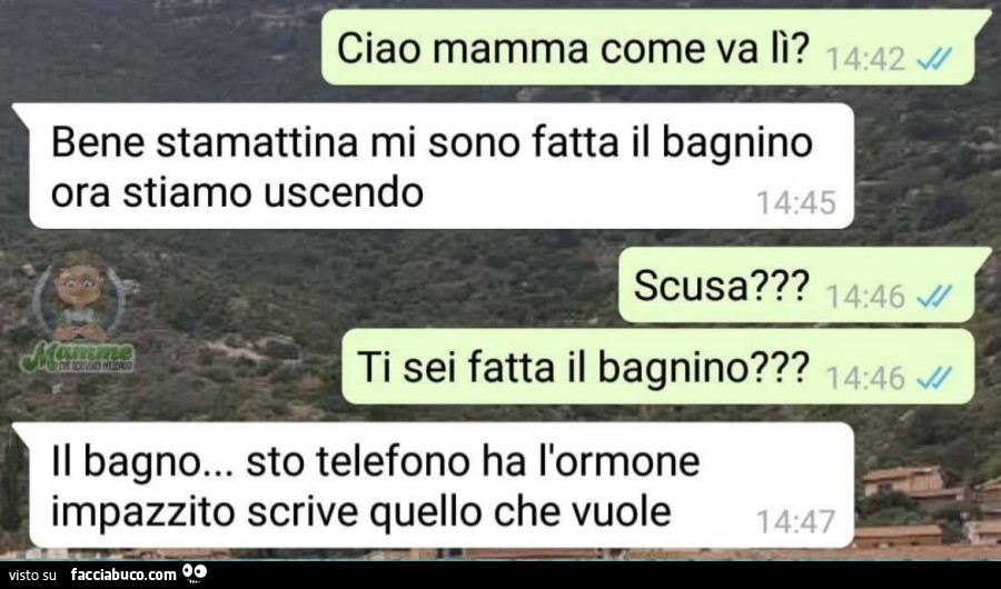 Vaccata