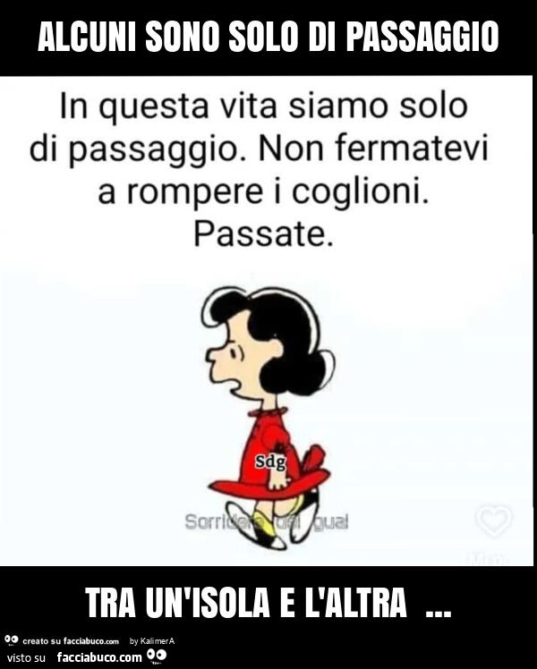 Alcuni sono solo di passaggio tra un'isola e l'altra