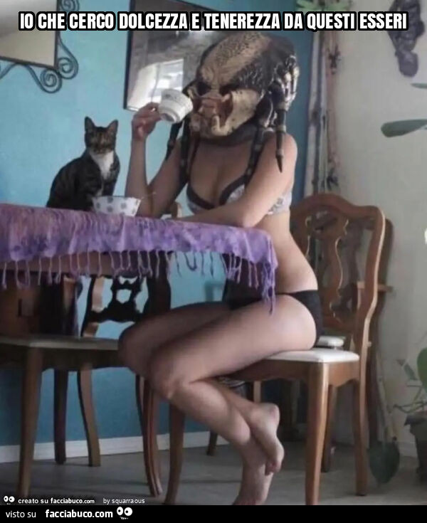 Io che cerco dolcezza e tenerezza da questi esseri