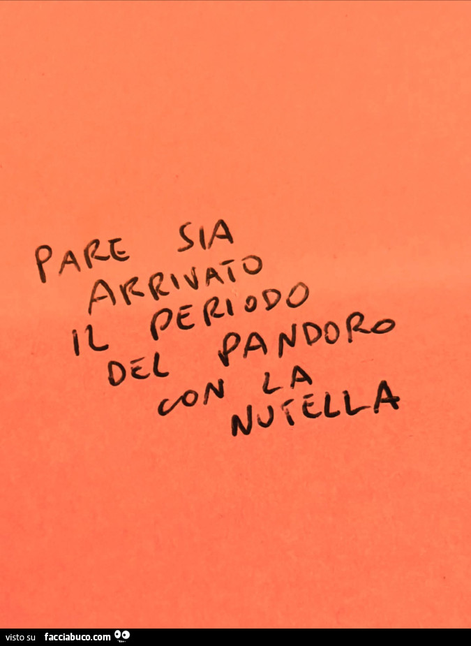 Pare sia arrivato il periodo del pandoro con la nutella