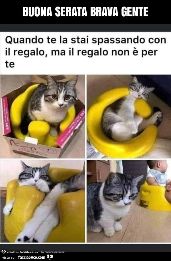 Buona serata brava gente