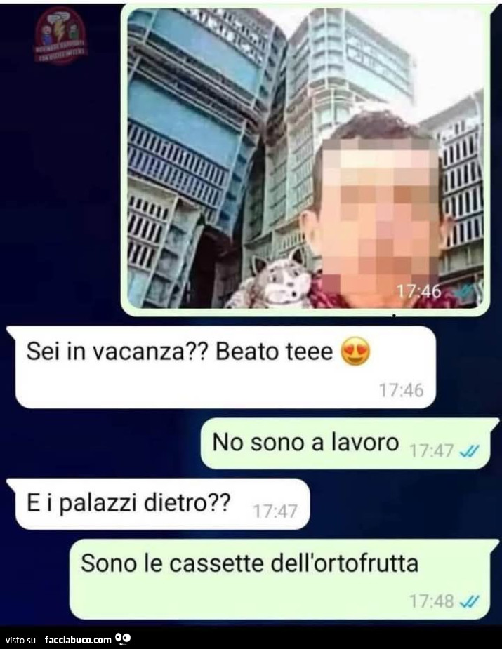 Vaccata