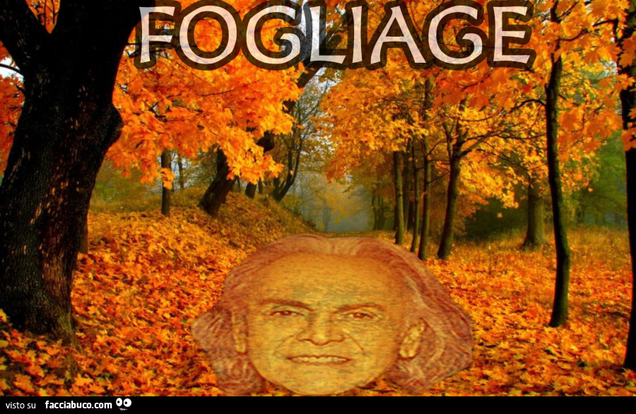 Fogliage
