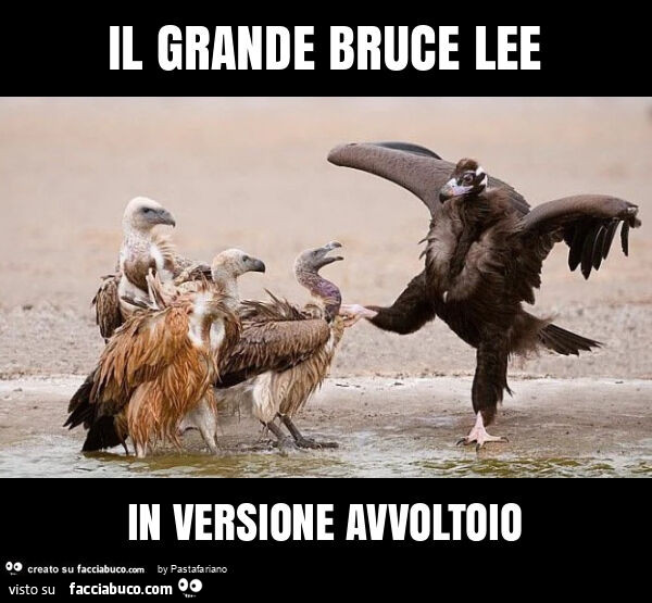 Il grande bruce lee in versione avvoltoio