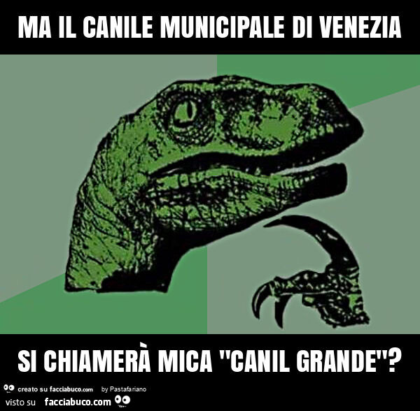 Ma il canile municipale di venezia si chiamerà mica "canil grande"?