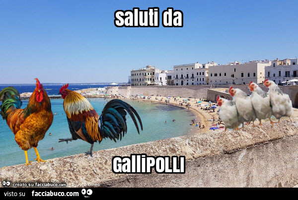 Saluti da gallipolli