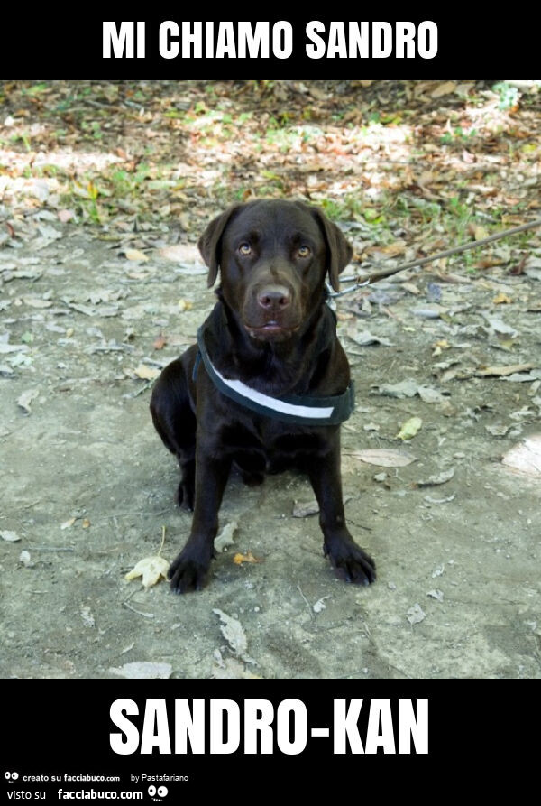Mi chiamo sandro sandro-kan