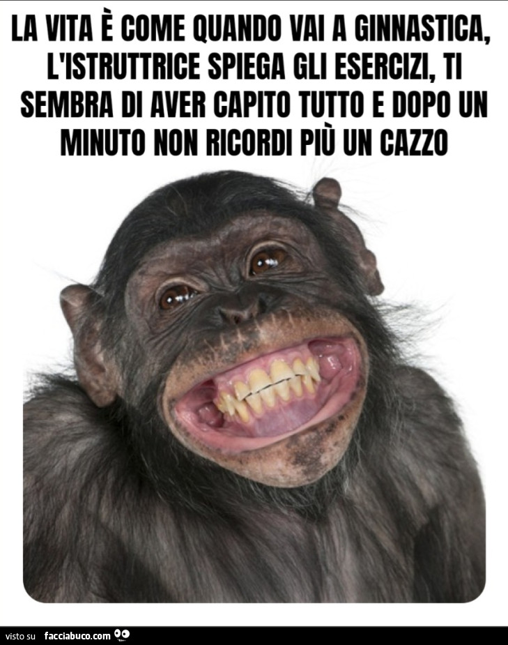 La vita รจ come quando vai a ginnastica, l'istruttrice spiega gli esercizi, ti sembra di aver capito tutto e dopo un minuto non ricordi piรน un cazzo