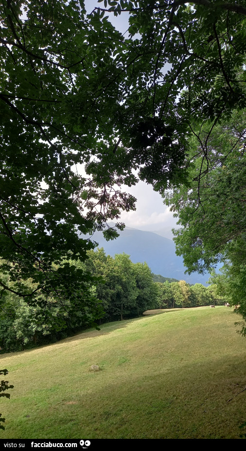 Montagna
