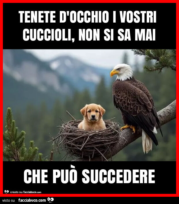 Tenete d'occhio i vostri cuccioli, non si sa mai che puรฒ succedere