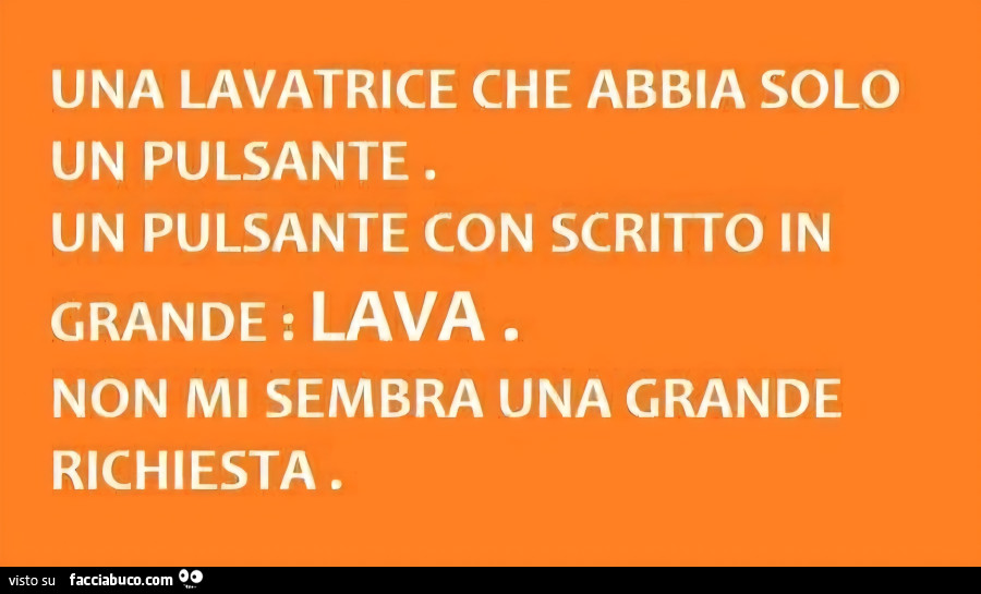 Una lavatrice che abbia solo un pulsante. Un pulsante con scritto in grande: lava. Non mi sembra una grande richiesta
