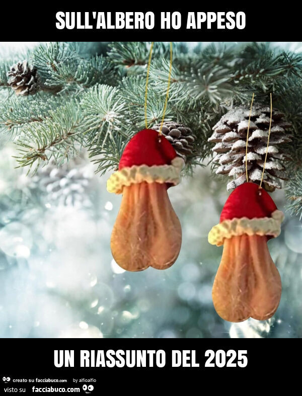 Sull'albero ho appeso un riassunto del 2025