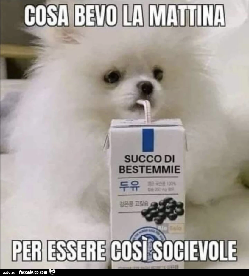Vaccata