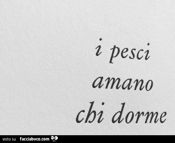 I pesci amano chi dorme