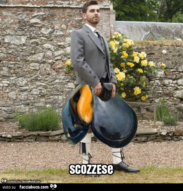 Scozzese