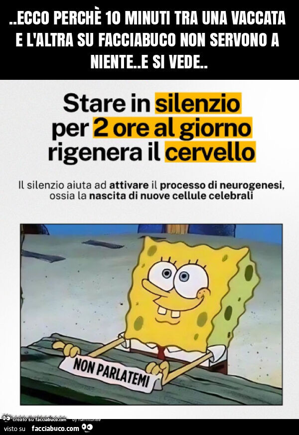 Ecco perchè 10 minuti tra una vaccata e l'altra su facciabuco non servono a niente. E si vede