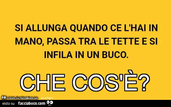 Che cos'è?