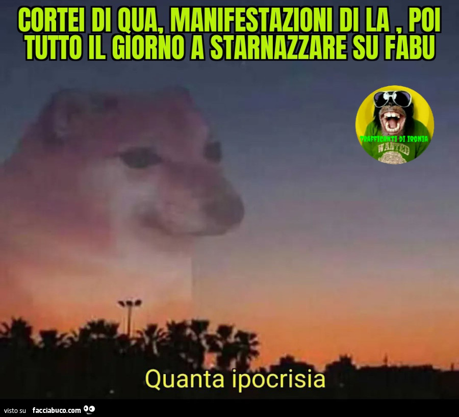 Cortei di qua manifestazioni di la poi tutto il giorno a starnazzare su fabu