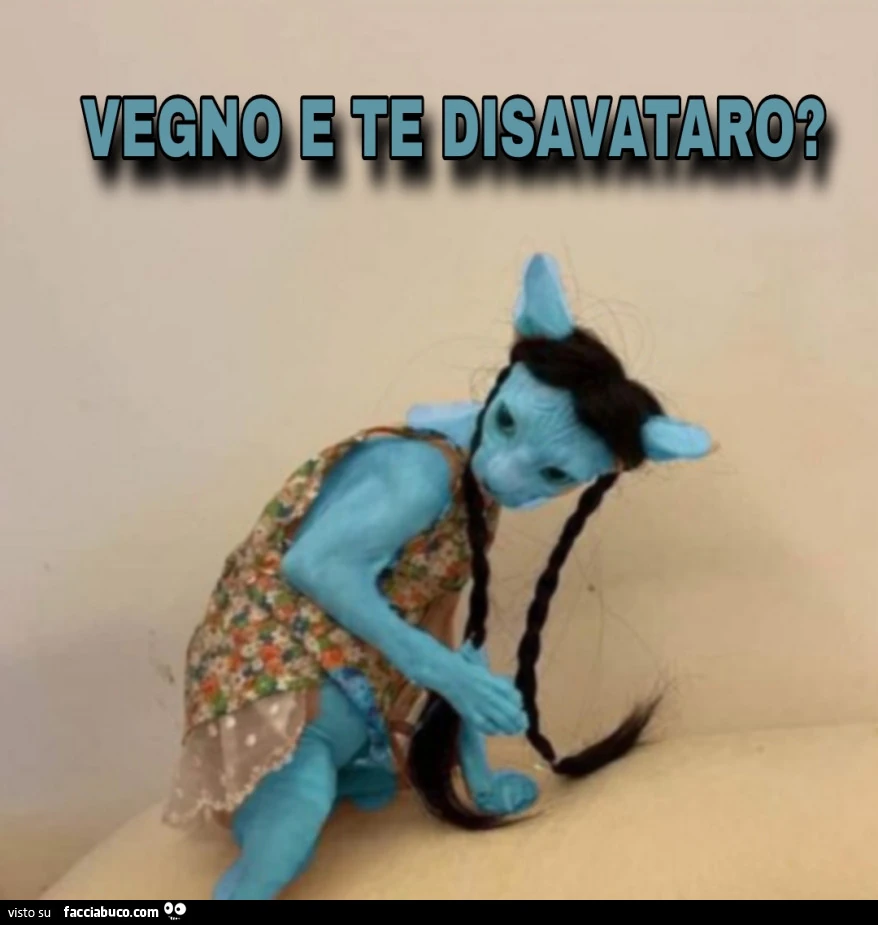 Vaccata