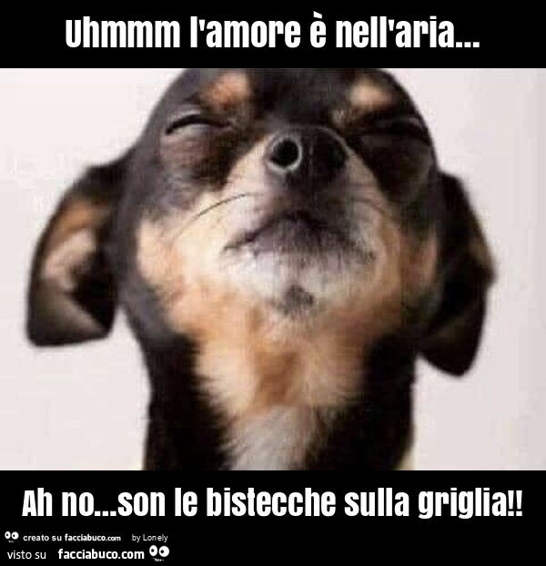 Uhmmm l'amore è nell'aria… ah no… son le bistecche sulla griglia
