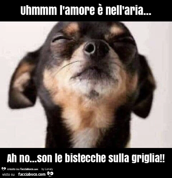 Uhmmm l'amore è nell'aria&hellip; ah no&hellip; son le bistecche sulla griglia