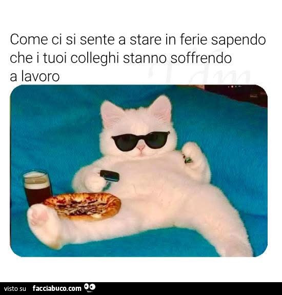 Vaccata