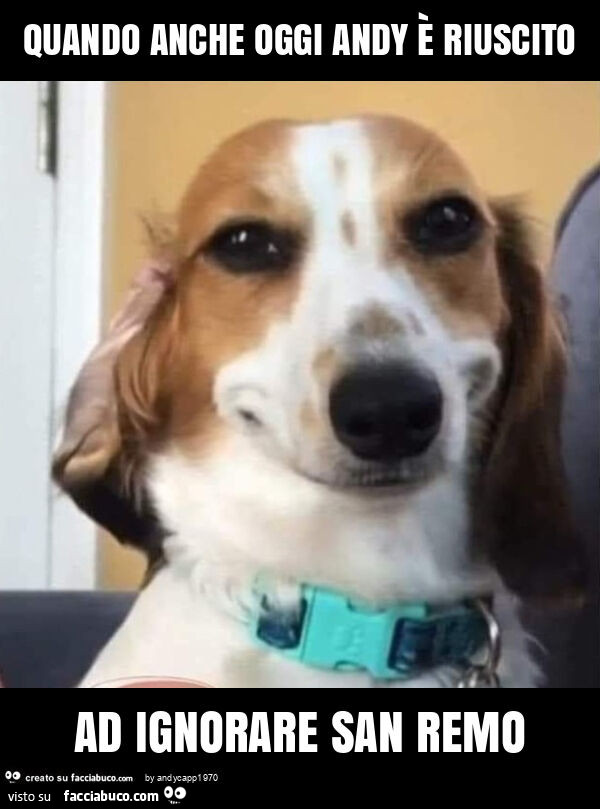 Quando anche oggi andy è riuscito ad ignorare san remo