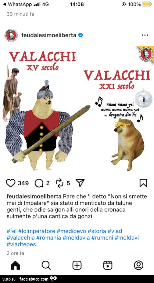 Vaccata
