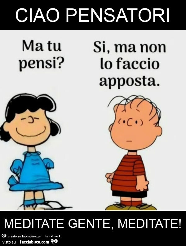 Ciao pensatori meditate gente, meditate