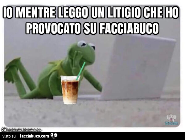 Lo mentre leggo un litigio che ho provocato su facciabuco