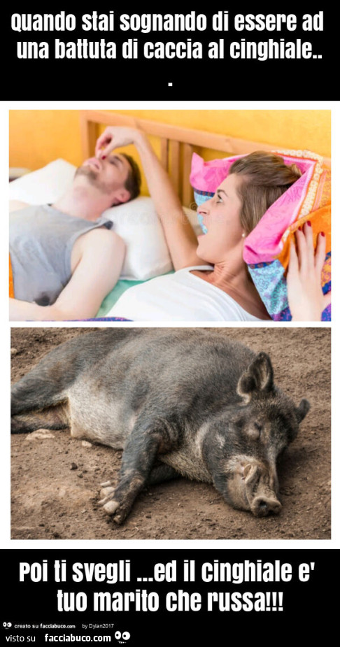 Quando stai sognando di essere ad una battuta di caccia al cinghiale&hellip; poi ti svegli&hellip; ed il cinghiale è tuo marito che russa