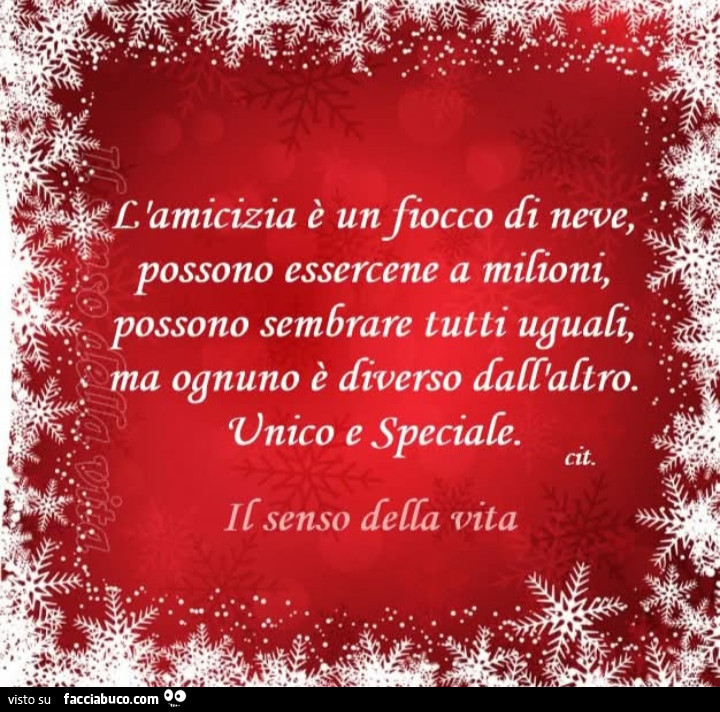 L'amicizia è un fiocco di neve, possono essercene a milioni, possono sembrare tutti uguali, ma ognuno è diverso dall'altro. Unico e speciale