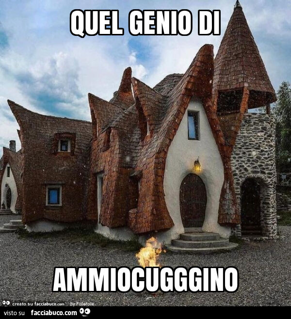 Quel genio di ammiocugggino