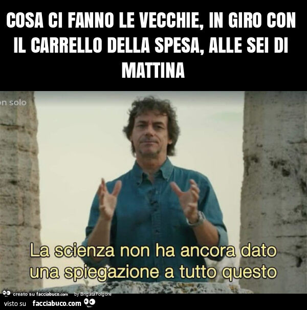Cosa ci fanno le vecchie, in giro con il carrello della spesa, alle sei di mattina