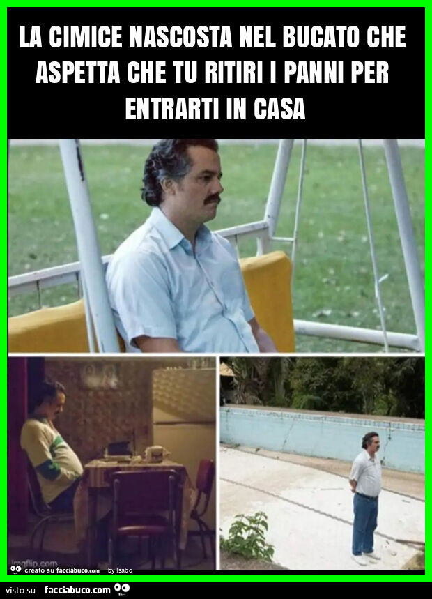 La cimice nascosta nel bucato che aspetta che tu ritiri i panni per entrarti in casa