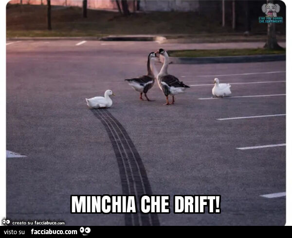 Minchia che drift