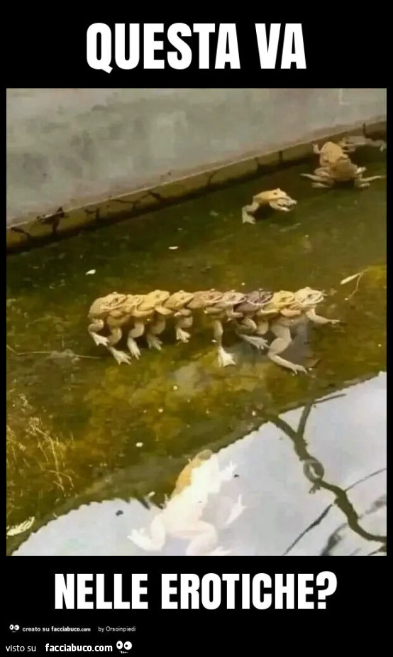Questa va nelle erotiche?