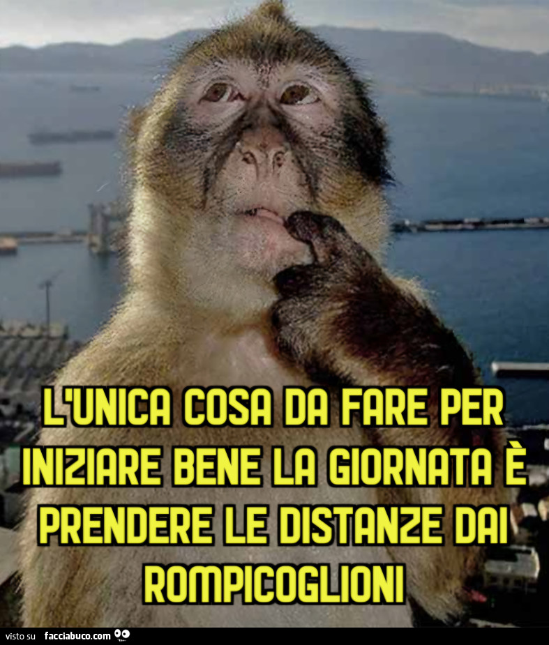 L'unica cosa da fare per iniziare bene la giornata è prendere le distanze dai rompicoglioni