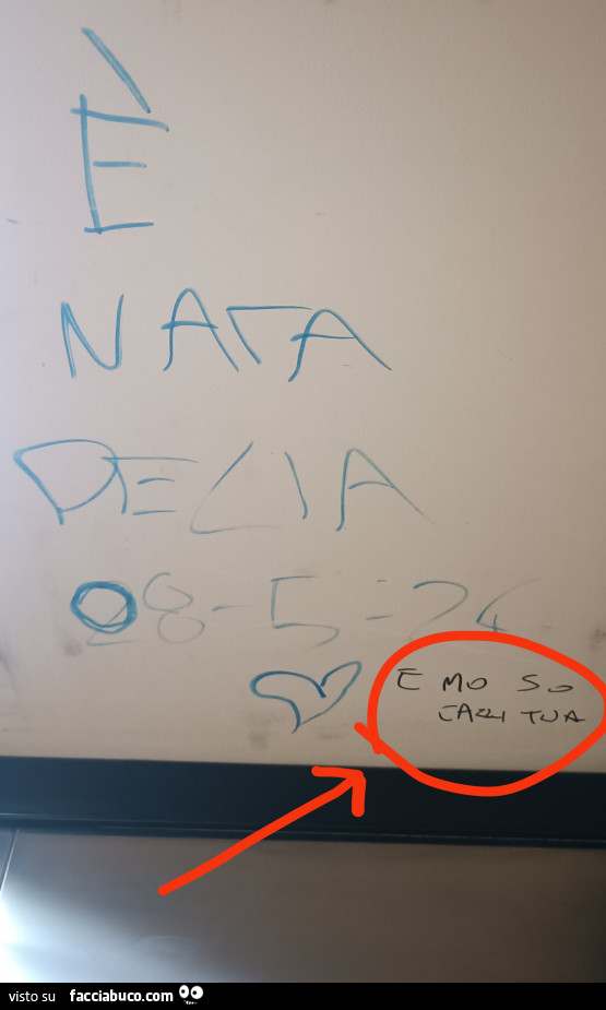 ร NATA DELIA… e mรฒ sรฒ cazzi tua