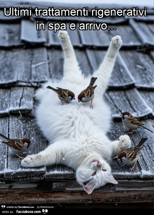 Ultimi trattamenti rigenerativi in spa e arrivo