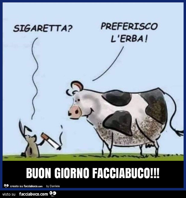Buon giorno facciabuco