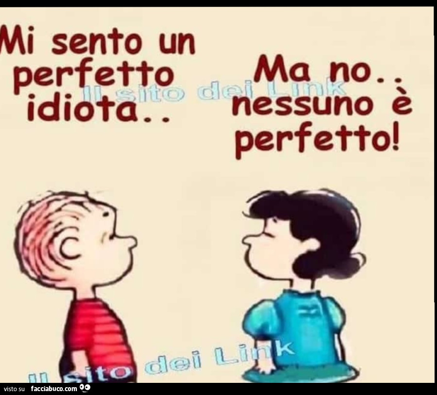 Sentirsi Perfetti idioti… ma nessuno è perfetto