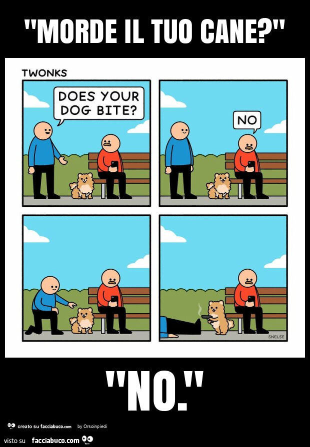 "morde il tuo cane? " "No. "